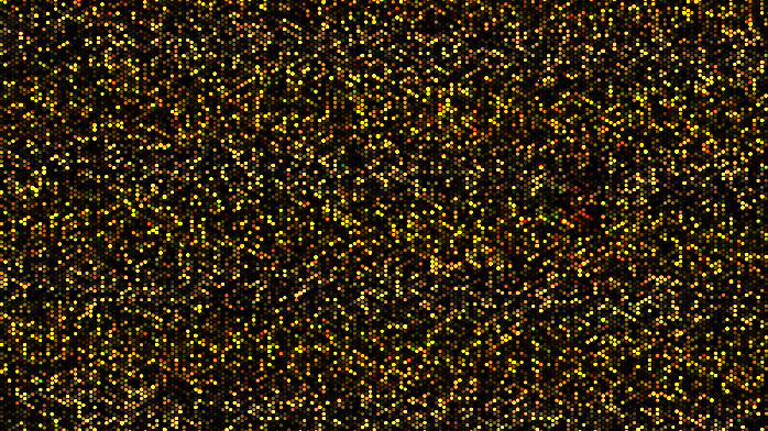 Microarray 1 Microarray 1