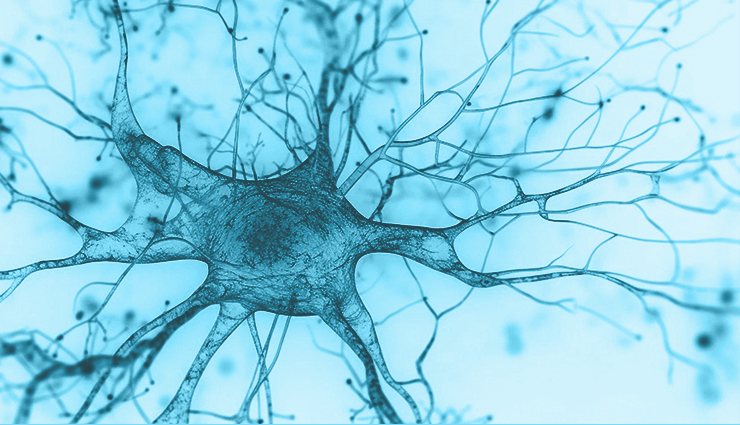 ibbiotech-alzheimer ibbiotech-alzheimer
